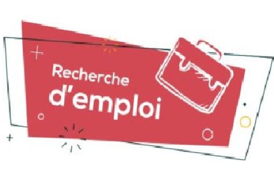 Programme d'aide à l'intégration des immigrants et des minorités visibles en emploi (PRIIME)