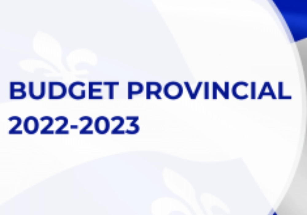 Un budget mi-figue, mi-raisin !